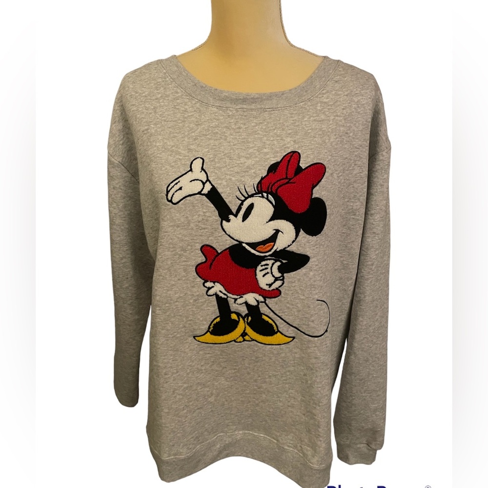 Beautiful embroidery Minnie Mouse sweatshirt size Xxl NWT